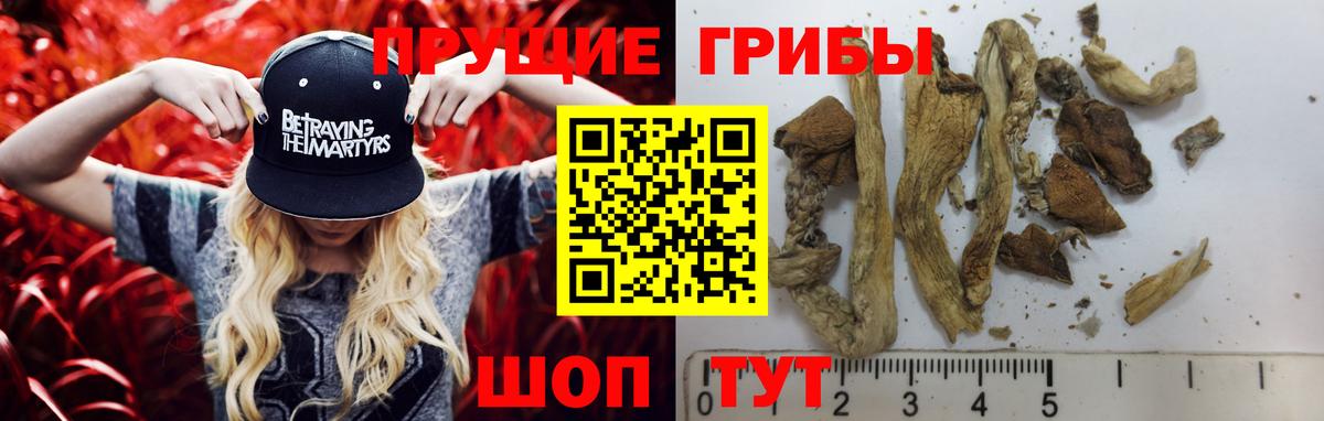 Псилоцибиновые грибы Cubensis  Галлюциногенные грибы Psilocybe  Вход с VPN  Гусиноозёрск 